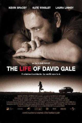 The Life of David Gale streaming