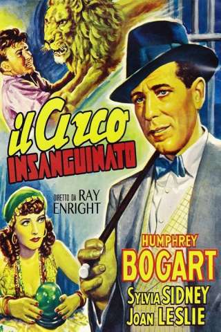 Il circo insanguinato streaming