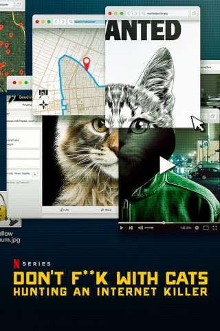 Giù le mani dai gatti: caccia a un killer online streaming