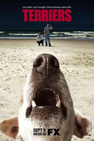 Terriers streaming